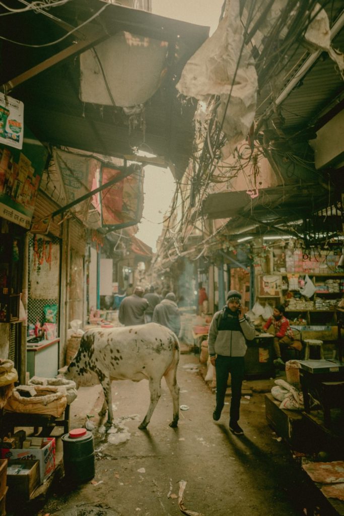 A typical cramped gully during Bakra Eid in Pakistan