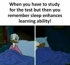 memes about exam season