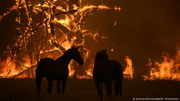 Devastating massive wildfires in Australia 