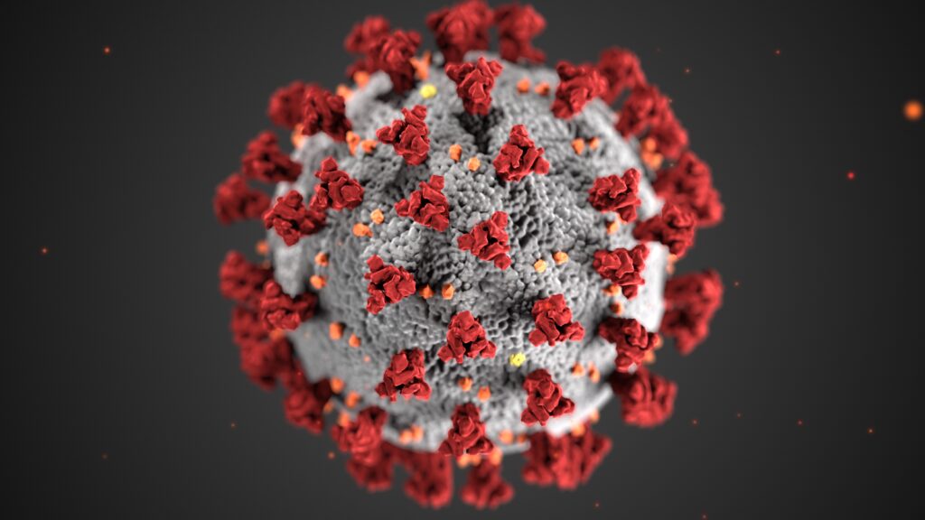 The microscopic view of COVID-19. 