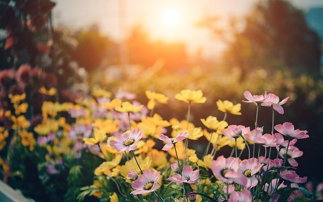 question of gratitude