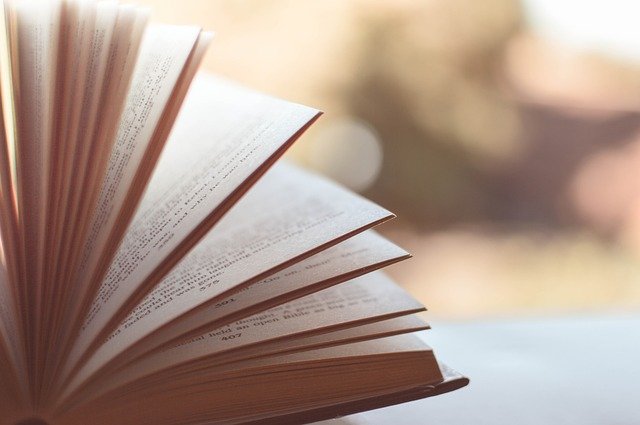 During undergrad, read extensively.