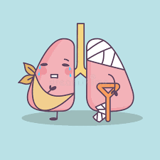 Smoking Damages Lungs